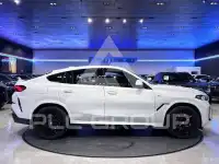 2026 BMW X6