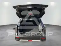 2026 Suzuki 