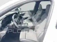 2026 Audi Q6