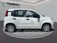 2026 Fiat Unknown