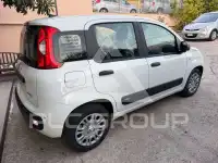 2026 Fiat Panda