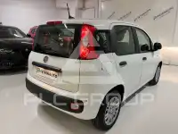 2026 Fiat Panda