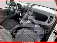 2026 Fiat Panda