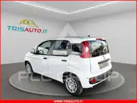 2026 Fiat Panda