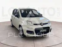 2026 Fiat Panda