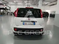 2026 Fiat Panda