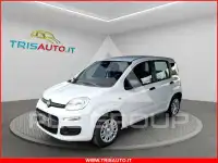 2026 Fiat Panda