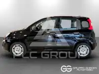 2026 Fiat Panda