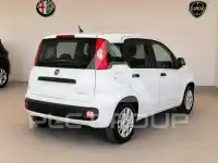 2026 Fiat Panda