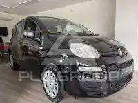 2026 Fiat Panda