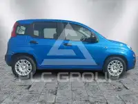 2026 Fiat Panda