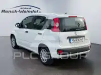2026 Fiat Panda