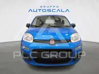 2026 Fiat Panda