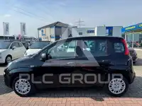 2026 Fiat Panda