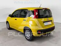 2026 Fiat Panda