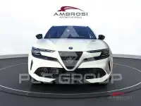 2026 Alfa Romeo Other