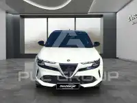2026 Alfa Romeo Other