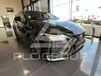 2026 Lexus RZ