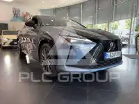 2026 Lexus RZ