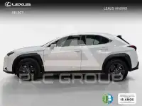2026 Lexus UX