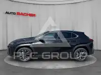 2026 Lexus UX