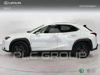 2026 Lexus UX