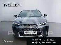 2026 Lexus UX
