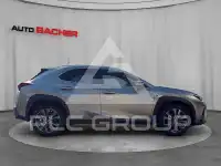 2026 Lexus UX