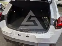 2025 Lexus UX