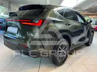 2026 Lexus Other