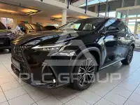2026 Lexus Other