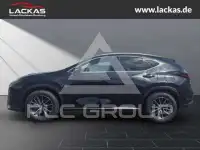 2026 Lexus NX250