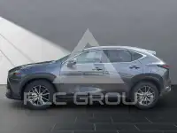 2026 Lexus NX250