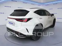 2026 Lexus NX250