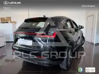 2026 Lexus NX250