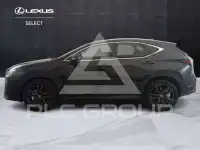 2026 Lexus NX250