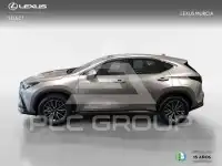 2026 Lexus NX250