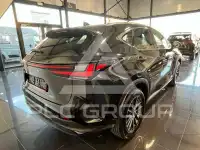 2026 Lexus NX250