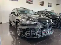 2026 Lexus NX250