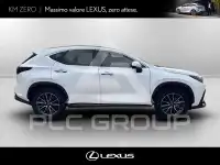 2026 Lexus NX250