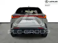 2026 Lexus NX250