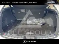 2026 Lexus NX250