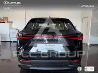 2026 Lexus NX250