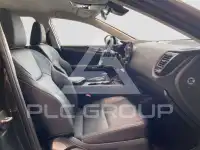 2026 Lexus NX250