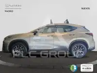 2026 Lexus NX250