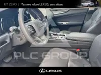 2026 Lexus NX250