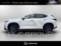 2026 Lexus NX250