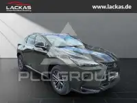 2026 Lexus NX250