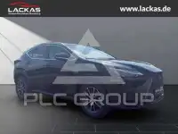 2026 Lexus NX250