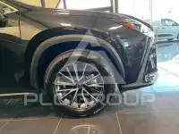 2026 Lexus NX250
